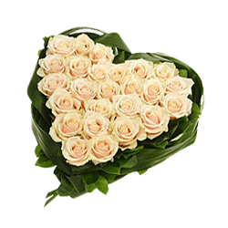 Heart from white roses