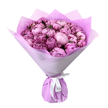 Peonies
