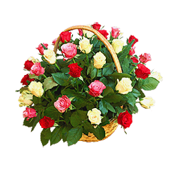 Корзина с разноцветными розами