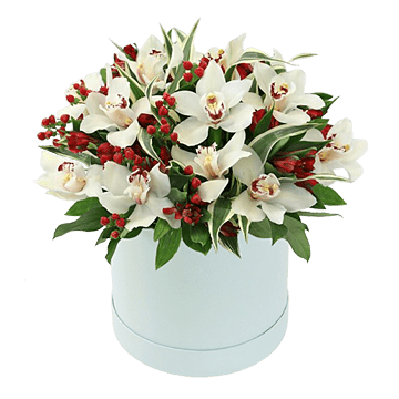 Orchids in box