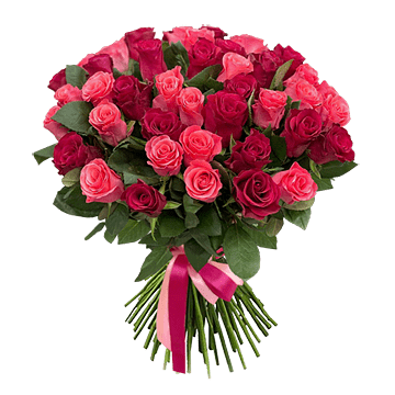 Bouquet of red and pink roses