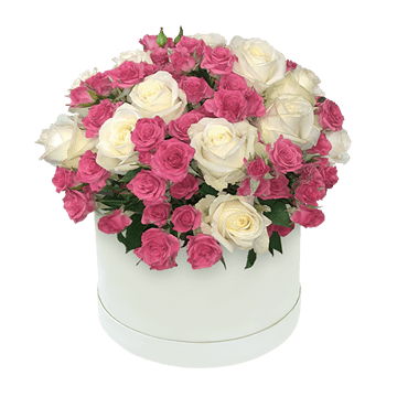 Rosen in einer Box