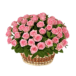 Basket with pink roses