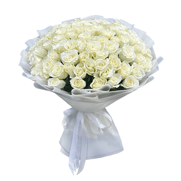 Bouquet of white roses