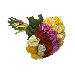 Bouquet of different color roses