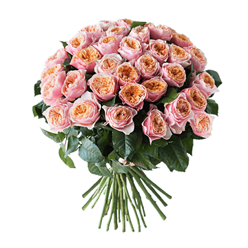 Bouquet of peony roses
