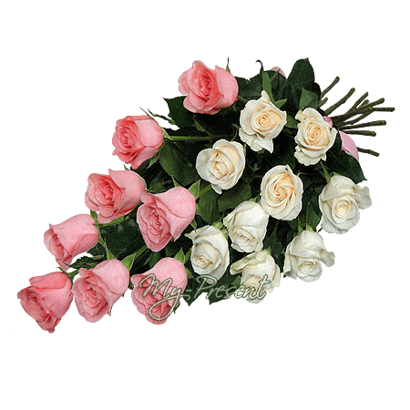Bouquet of white and pink roses (80 cm.)
