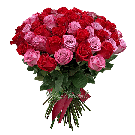 Blumenstrauß aus roten und rosa Rosen (60 cm.)