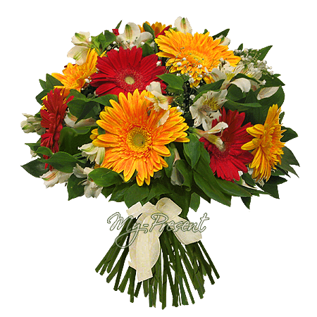 Bouquet of gerberas and alstroemerias