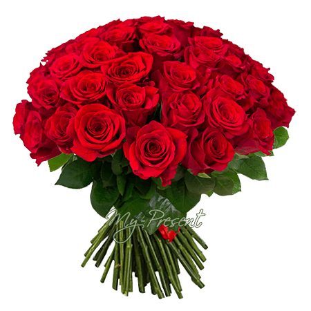 Blumenstrauß aus roten Rosen (50 cm.)