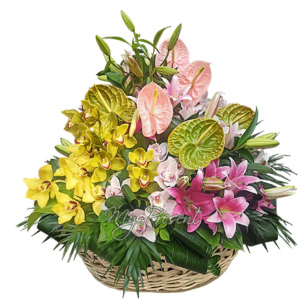 Basket with lilies, orchids, anthuriums
