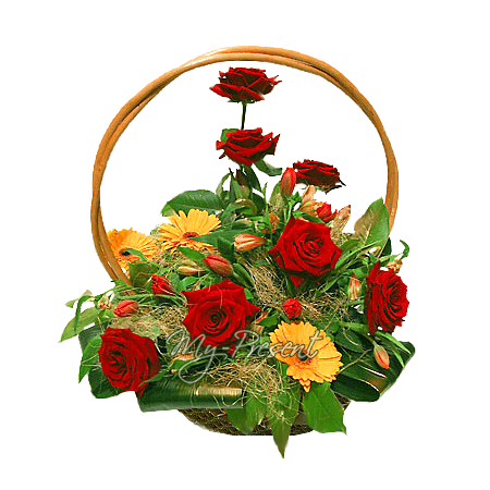 Basket with roses, gerbers decorated with verdure
