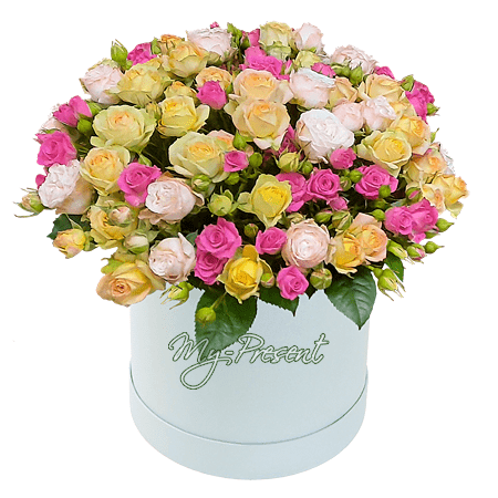 Different color roses in box