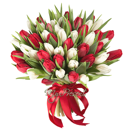 Blumenstrauß aus roten und weißen Tulpen