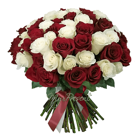 Bouquet of red and white roses (50 cm.)