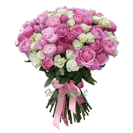 Bouquet of shrub pink and white roses