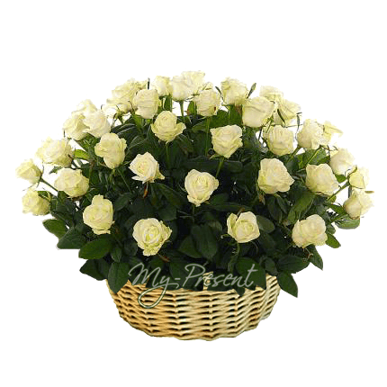 Basket with white roses