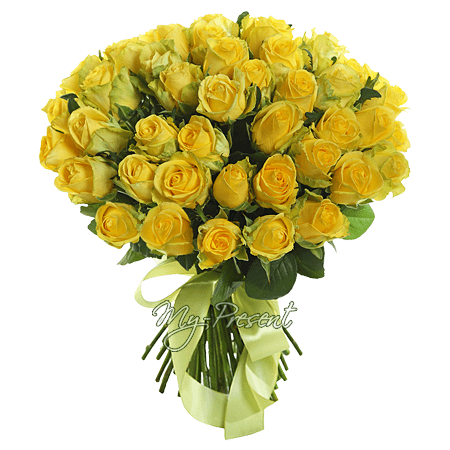 Bouquet of yellow roses (60 cm.)