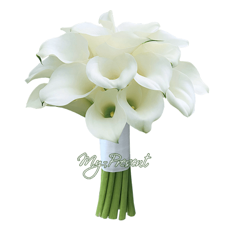 Bouquet of calla lilies