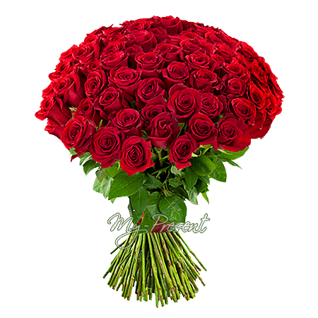 Букет красных роз (80 см.) перевязанный лентой