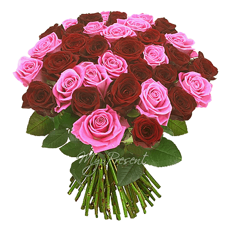 Букет из красных и розовых роз  (50 см)