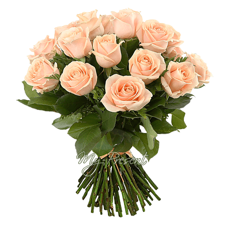 Букет розовых роз (50 см.) перевязанный лентой