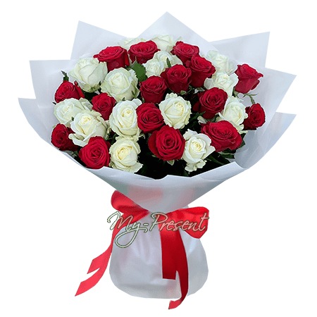 Bouquet of red and white roses (70-80 cm.)